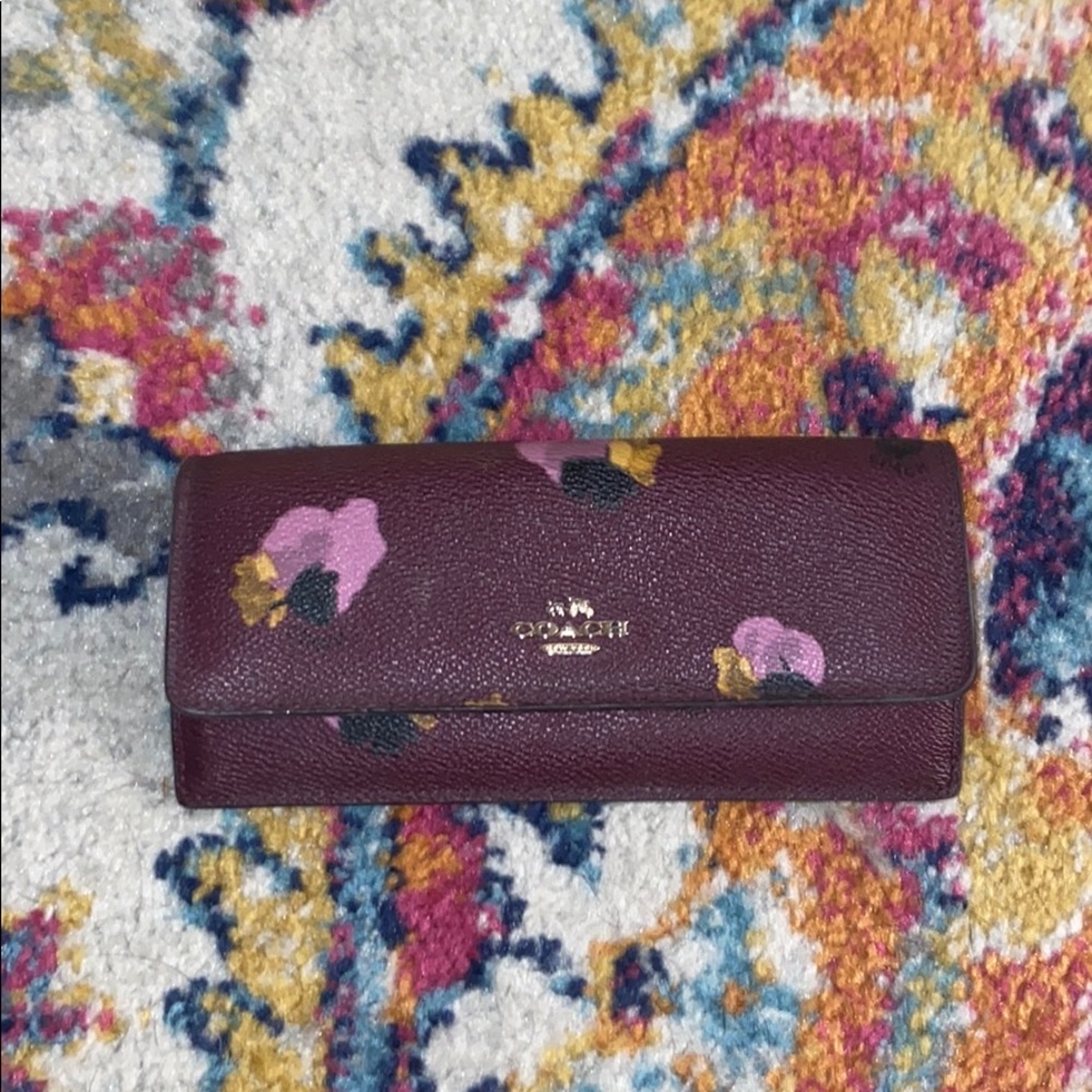 Hand painted Coach wallet